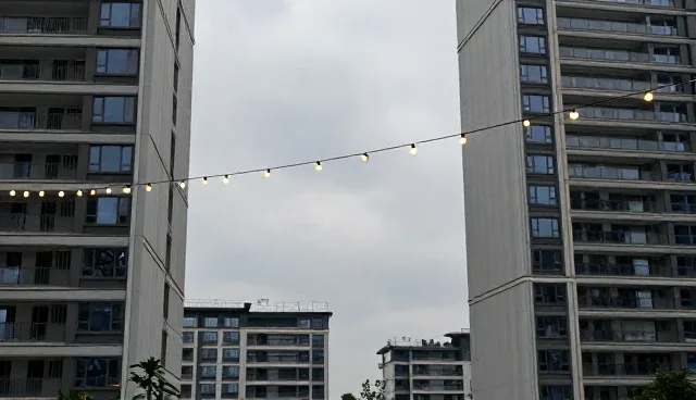 品牌策划中业务发展趋势的适用情况与限制